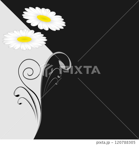Illustration of a black and white floral background with a bouquet of flowers daisy. 120788305