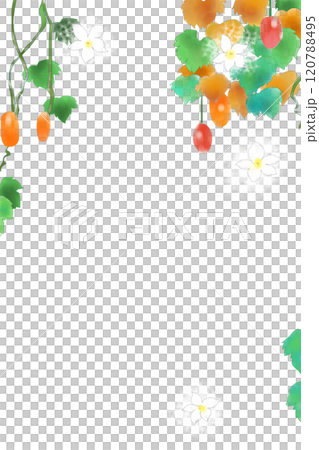 魷魚花果卡1 魷魚花果卡1 120788495