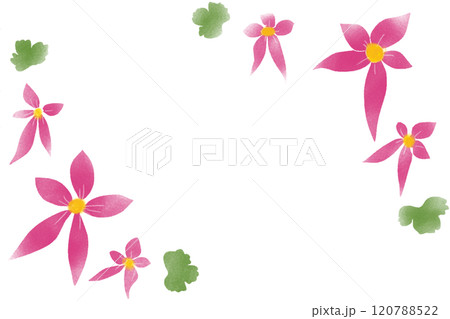 大文字草の花のカード1 120788522