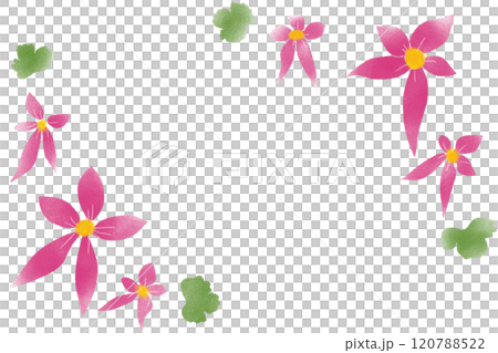 大文字草の花のカード1 120788522