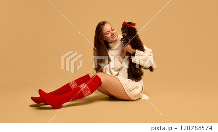 Young woman wearing knitted sweater and red sox, posing with adorable black poodle dog with bow accessory saint studio background Young woman wearing knitted sweater and red sox, posing with adorable black poodle dog with bow accessory saint studio background 120788574