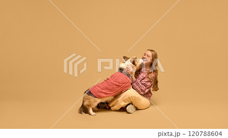 Happy young woman in checkered shirt cheerfully playing with Corgi dog wearing pink cozy sweater, against beige studio background Happy young woman in checkered shirt cheerfully playing with Corgi dog wearing pink cozy sweater, against beige studio background 120788604