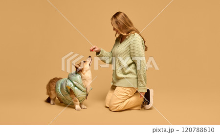Young blonde woman wearing mint color warm cardigan, standing on knees and feeding Corgi dog, wearing matching color jacket. Young blonde woman wearing mint color warm cardigan, standing on knees and feeding Corgi dog, wearing matching color jacket. 120788610