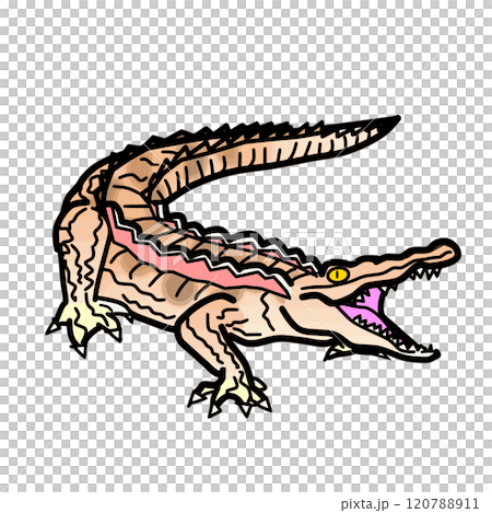 ワニのイラスト 120788911