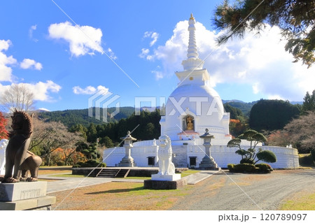 静岡県御殿場市　富士仏舎利塔平和公園　白亜の富士仏舎利塔 120789097