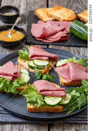 toast with corned beef and veggies, top view toast with corned beef and veggies, top view 120789544