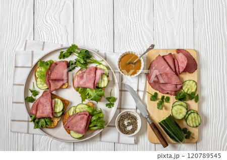 toast with corned beef and veggies, top view toast with corned beef and veggies, top view 120789545