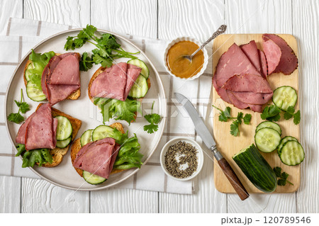 toast with corned beef and veggies, top view toast with corned beef and veggies, top view 120789546