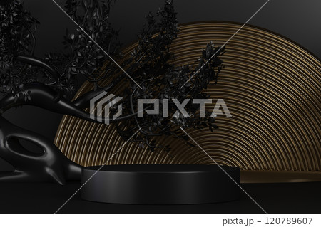 Fashion product background and stand black podium display with blank backdrops. 120789607