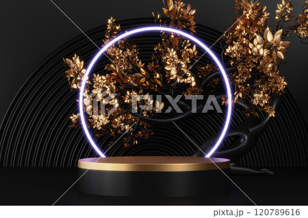 Fashion product background and stand black podium display with blank backdrops. Fashion product background and stand black podium display with blank backdrops. 120789616