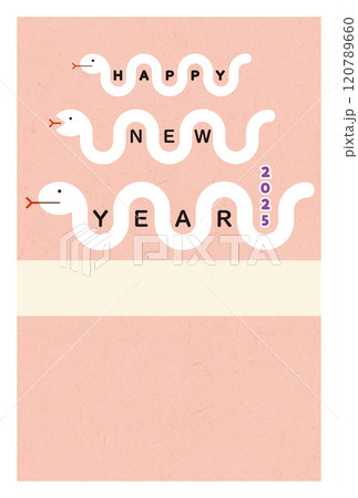 年賀 2025 はがきテンプレート かわいい3匹のへびイラスト 120789660