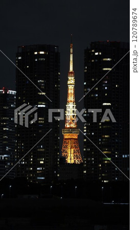 高層ビルに挟まれて見えるライトアップされた東京タワー 120789674
