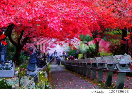 大山寺の真っ赤な紅葉 大山寺の真っ赤な紅葉 120789698