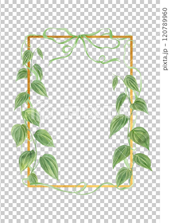 Green climbing leaf branches vertical golden frame with intertwining ribbons and bow. Pepper plant watercolor floral illustration. Copy space for text. Celebrate border for greeting cards 120789960
