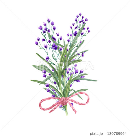Meadow blooming blue, purple flowers with rosemary leaves and pink jute bow bouquet watercolor illustration. Spring, summer herbs, plants for wedding, birthday greeting card design, package decor 120789964