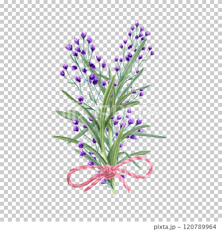 Meadow blooming blue, purple flowers with rosemary leaves and pink jute bow bouquet watercolor illustration. Spring, summer herbs, plants for wedding, birthday greeting card design, package decor 120789964