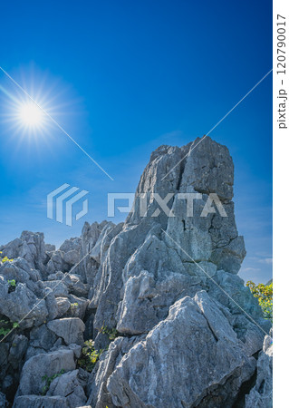 浜松市の立須の風景(静岡県) 浜松市の立須の風景(静岡県) 120790017