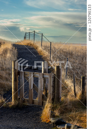 Wooden gate up a hill in the field, Iceland Wooden gate up a hill in the field, Iceland 120790133