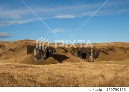 Field and Systrastapi rock in the autumn, Iceland 120790138