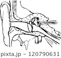 Line drawing of the structure of the human ear. 120790631