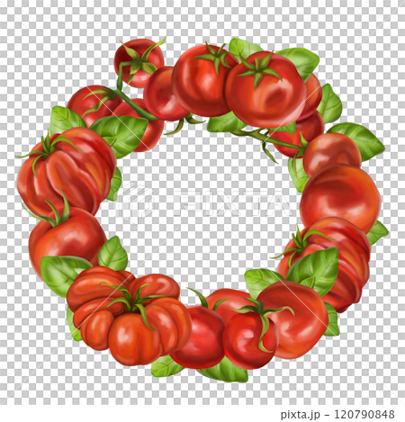 Red ripe tomatoes, fresh basil. A wreath of isolated objects for patterns design. Healthy food, sustainable gardening, eco lifestyle. Farm vegetables, fruits and greens. Isolated illustration 120790848