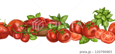 Red ripe tomatoes, fresh basil. Seamless horizontal border for long patterns design. Healthy food, sustainable gardening, eco lifestyle. Vegetable farm sauces, fruits, greens. Isolated illustration Red ripe tomatoes, fresh basil. Seamless horizontal border for long patterns design. Healthy food, sustainable gardening, eco lifestyle. Vegetable farm sauces, fruits, greens. Isolated illustration 120790865