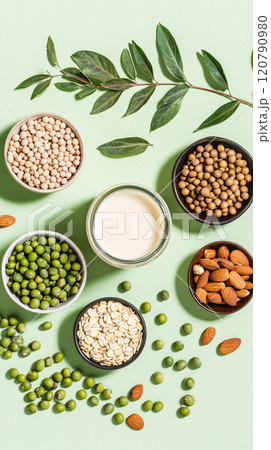 Plant-based Milk with Various Grains and Seeds Plant-based Milk with Various Grains and Seeds 120790980