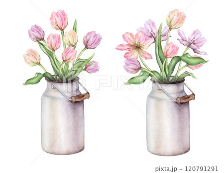Pastel multi-colored set of bud bouquet Tulips in metal can watercolor illustration isolated on background. Hand drawn delicate perennial bulbous pink yellow purple flower for spring design or card. 120791291