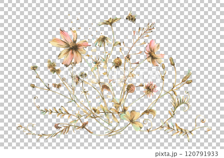 Field, meadow, wild flowers and herbs clover, cosmos, chamomile and bumblebee. Watercolor illustration hand drawn in beige, brown and ocher colors. Bouquet isolated from the background Field, meadow, wild flowers and herbs clover, cosmos, chamomile and bumblebee. Watercolor illustration hand drawn in beige, brown and ocher colors. Bouquet isolated from the background 120791933