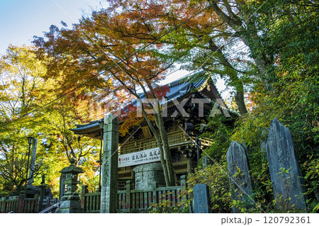 高尾山 高尾山薬王院 表参道 山門 11月下旬 高尾山 高尾山薬王院 表参道 山門 11月下旬 120792361