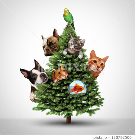 Pets And Christmas 120792500