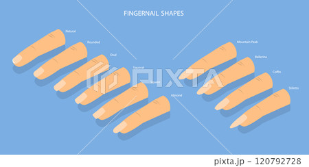 3D Isometric Flat Vector Set of Different Shapes of Fingernails, Iinds of Nails 120792728