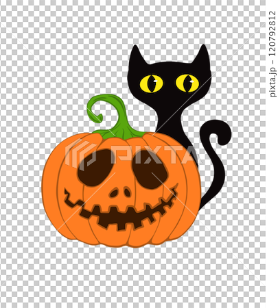 Black Cat and Halloween Pumpkin Illustration 120792812
