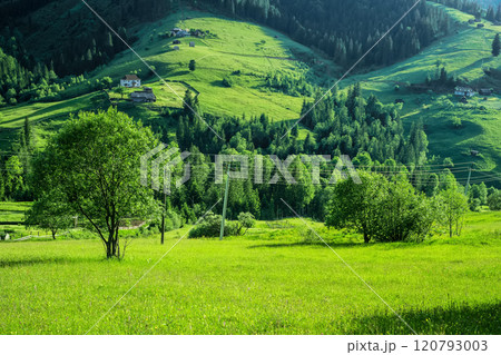 beautiful summer monntain landscape beautiful summer monntain landscape 120793003