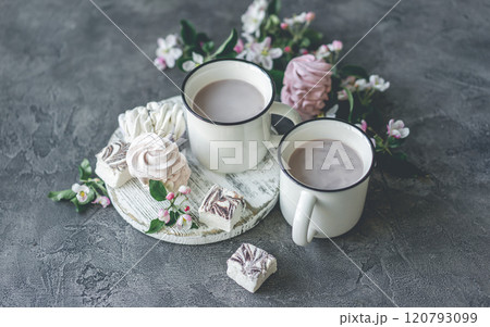 Cocoa and delicious marshmallows 120793099