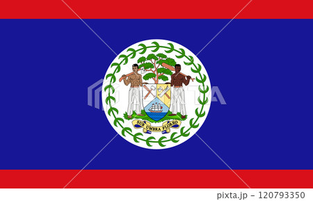 Belize flag in official colors, dimensions and aspect ratio. Vector flag symbolizing national pride, identity, heritage, patriotism and authority 120793350