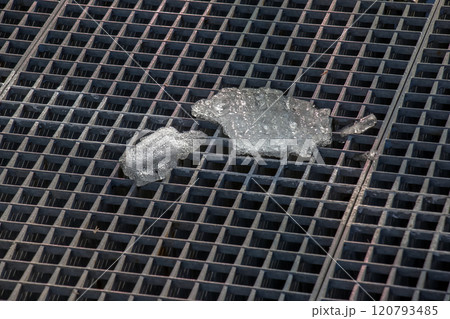 Close-up of a broken icicle falling onto a metal grate. 120793485