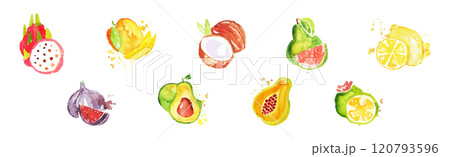 Juicy Tropical Fruit Watercolor Paint Colorful Vector Set 120793596