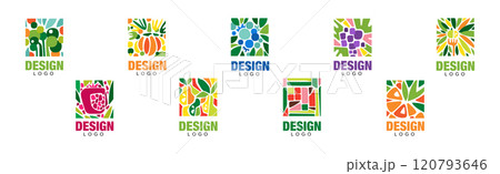 Fruit Rectangular Original Logo Design with Bright Color Vector Set 120793646