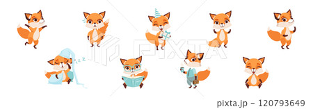 Cute Fox Character with Bushy Tail and Pretty Snout Vector Set 120793649