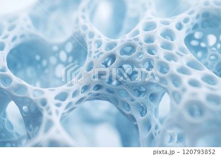 骨の組織のイメージ_1 骨の組織のイメージ_1 120793852