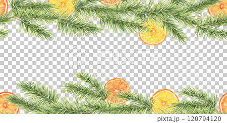 Green pine branches accented with orange slices in watercolor, seamless border clipart. This illustration is suitable for holiday cards, candle labels, and DIY crafts, adding a cozy seasonal charm 120794120