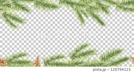 Realistic watercolor pine branches with subtle brown pine cones create a seamless border clipart. Perfect for gift tags, holiday postcards, or website headers with a natural, evergreen element 120794123