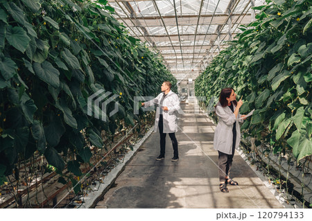 Conducting thorough scientific research and data collection in a modern greenhouse designed to maximize vegetable production while implementing sustainable agricultural practices for future benefits 120794133