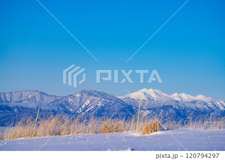 【冬山素材】冬の霧ヶ峰から見える冠雪した北アルプス【長野県】 【冬山素材】冬の霧ヶ峰から見える冠雪した北アルプス【長野県】 120794297