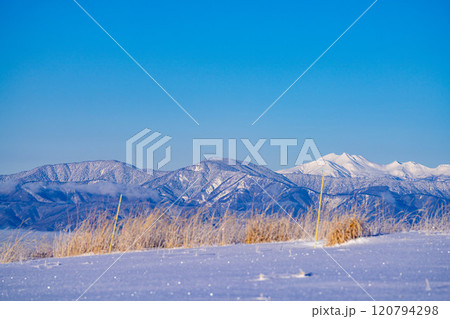 【冬山素材】冬の霧ヶ峰から見える冠雪した北アルプス【長野県】 【冬山素材】冬の霧ヶ峰から見える冠雪した北アルプス【長野県】 120794298