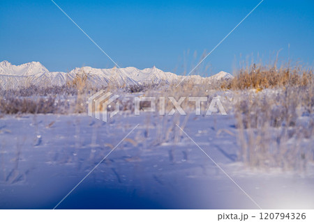 【冬山素材】冬の霧ヶ峰から見える冠雪した北アルプス【長野県】 【冬山素材】冬の霧ヶ峰から見える冠雪した北アルプス【長野県】 120794326