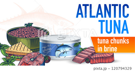 Tuna seafood banner. Fishes sketch poster. Tin can, steak and sandwich. Retro ink style. Freshwater 120794329