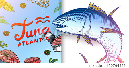 Tuna seafood banner. Fishes sketch poster. Retro ink style. Freshwater river fish. Sandwich and Tuna seafood banner. Fishes sketch poster. Retro ink style. Freshwater river fish. Sandwich and 120794331