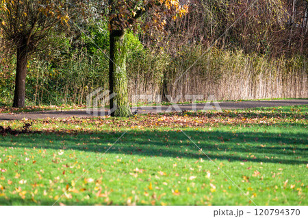 Colorful autumn trees and green lawn in Brussels, Belgium Colorful autumn trees and green lawn in Brussels, Belgium 120794370